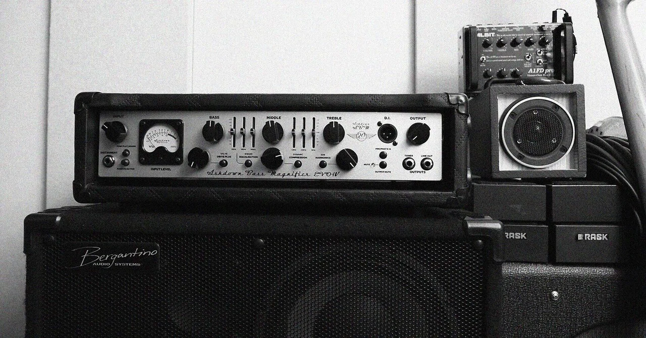 EPIFANI キャビネット& SWR ベースアンプヘッド（Epifani - ゼーレ 