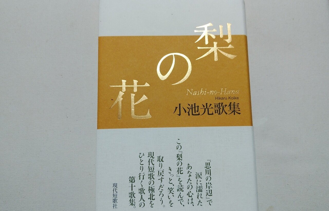 梨の花 小池光歌集  /現代短歌社/小池光（単行本） Amazon.co.jp: 梨の花―小池光歌集 : 小池光: 本