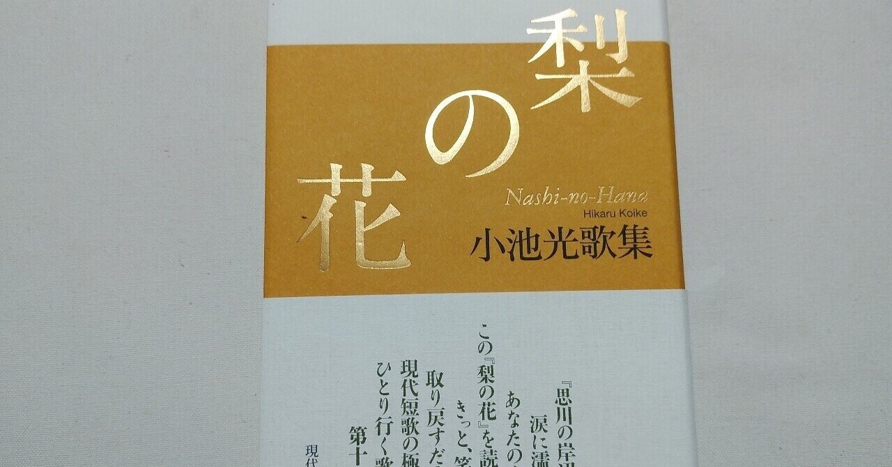 小池光『梨の花』｜川本千栄