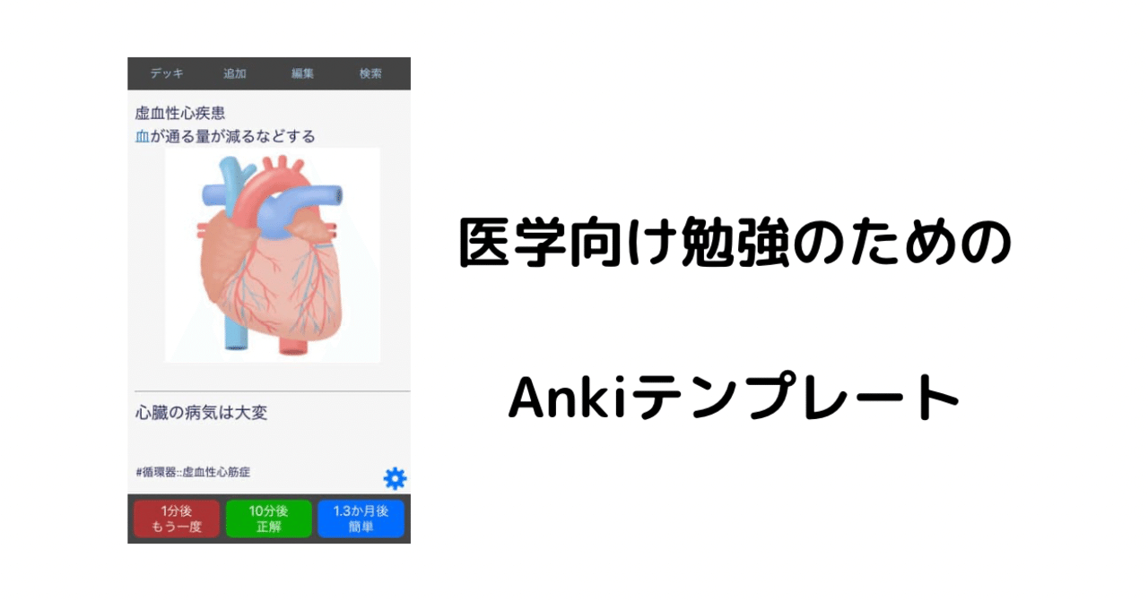 03 医学生向けのankiテンプレート 学習環境を整えるための設定 後編 しおん Note
