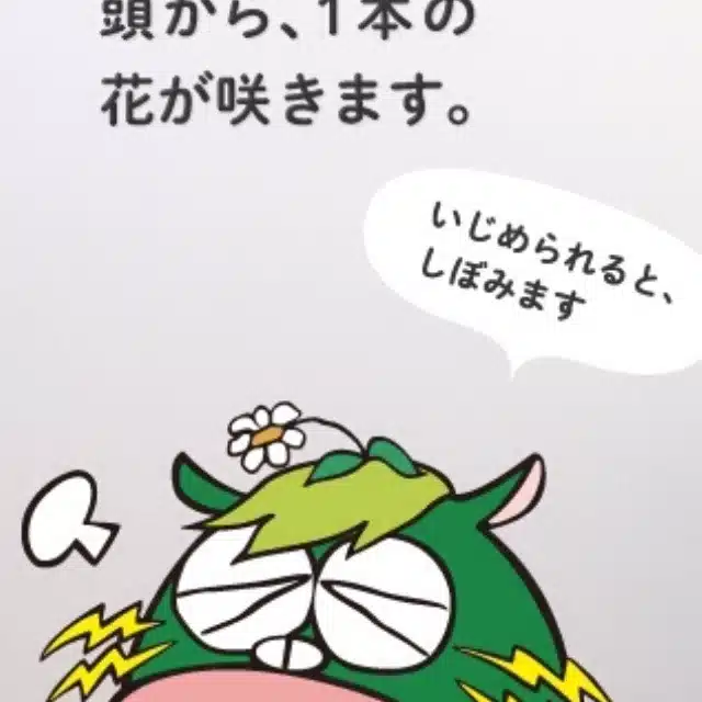 bianchi_234