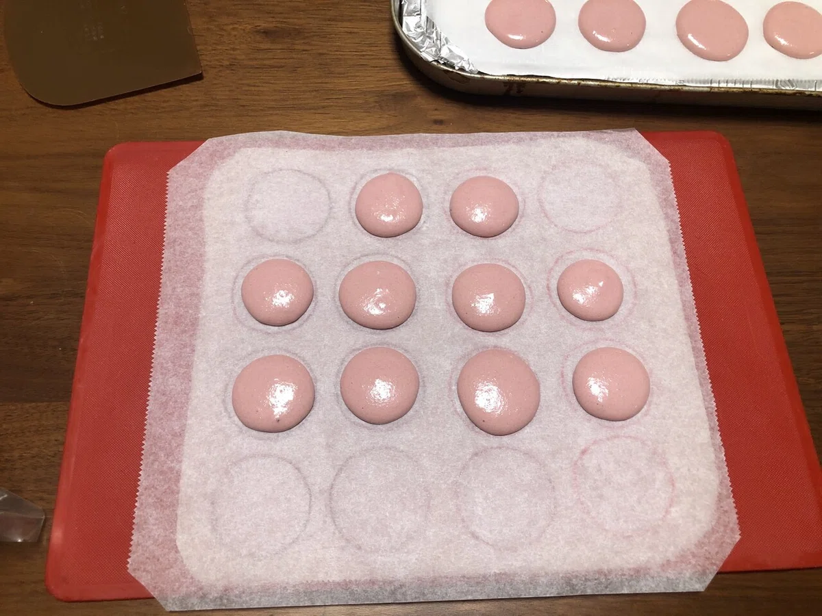 画像19