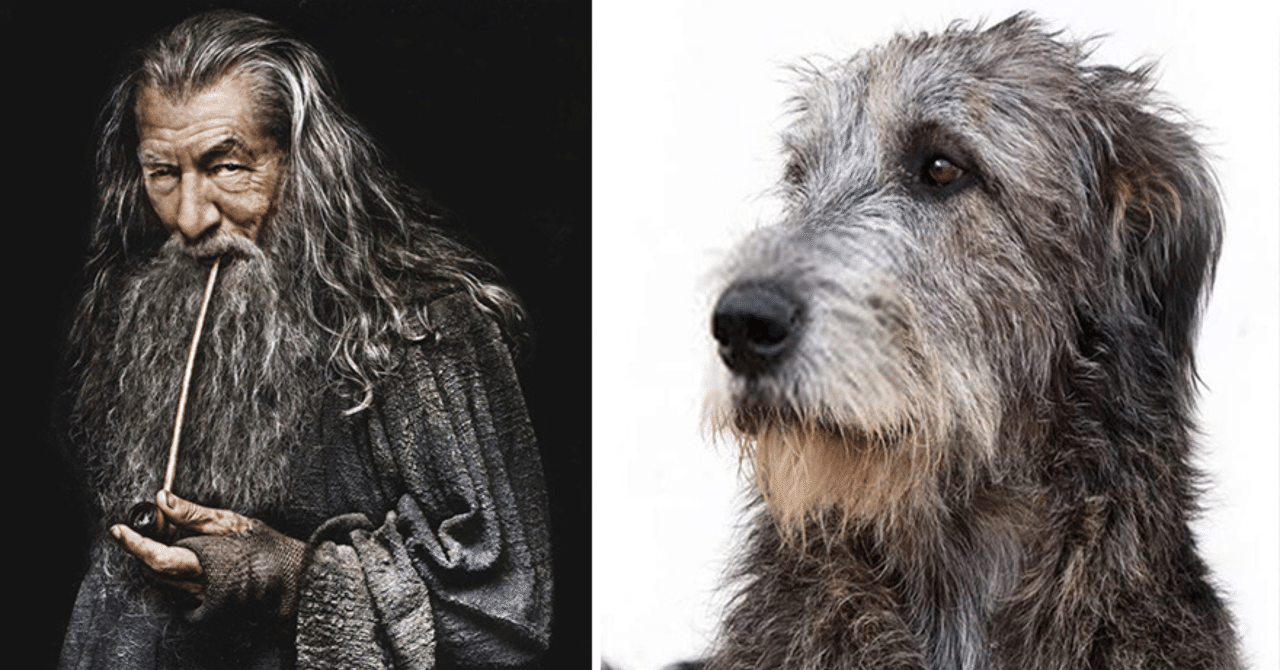 指輪物語 1 キャストがもしも犬なら ノリノリ Note