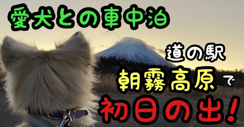 そうだ！愛犬と車中泊しよう♪〜道の駅 朝霧高原 初日の出！！〜