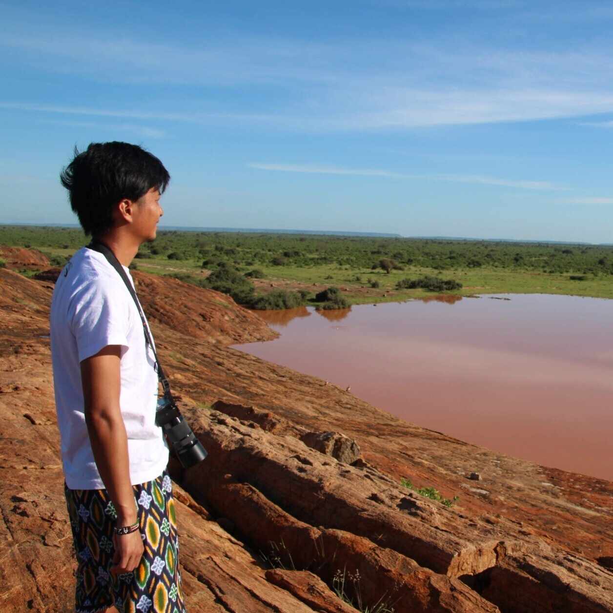 ボスウェリア・サクラの実生記録(2023.7.12〜)｜きりん