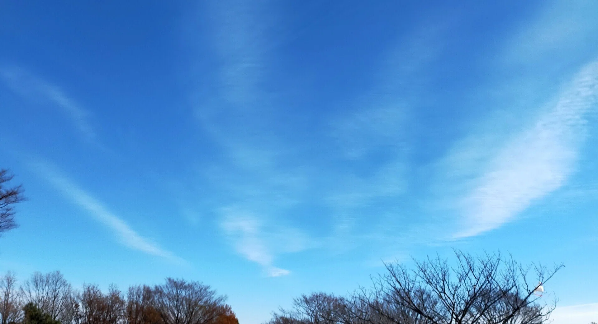 青山栞織｜note