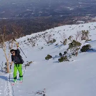 Kошка
