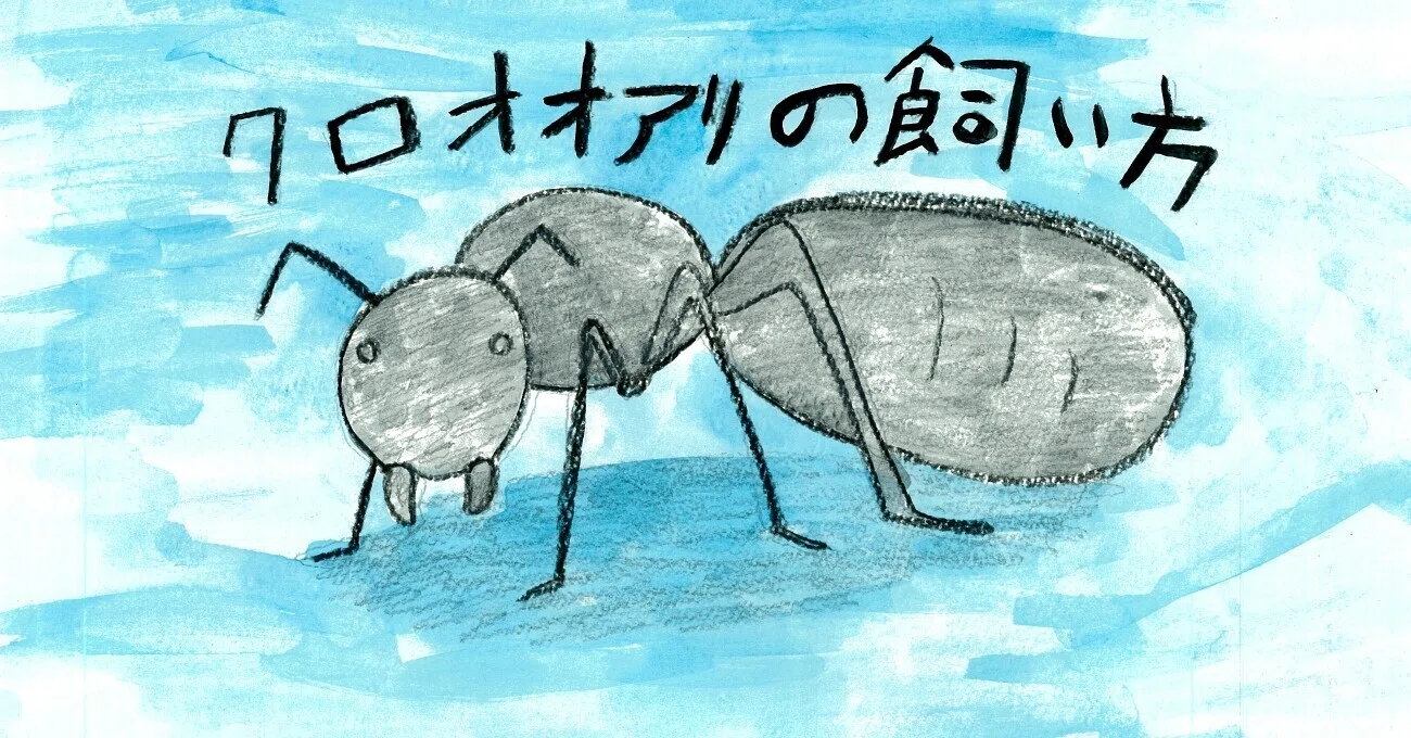アリを本気で飼育したら 小動物がやってきた まえだゆうき Note アリを本気で飼育したら 小動物がやってきた まえだゆうき Note