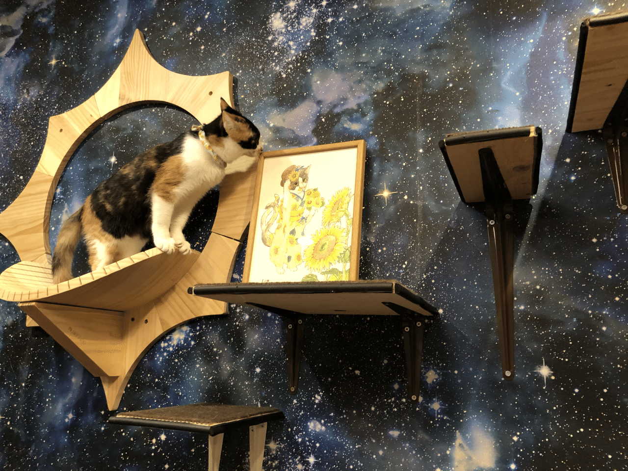 拝啓ねこ様と猫又絵 蓮根ともこ Note 拝啓ねこ様と猫又絵 蓮根ともこ Note