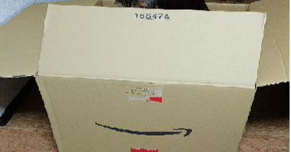 Amazon 初めての返品で 返金されなくて焦ったけど 幸せな気分になれた夜 にゃーほほ Note