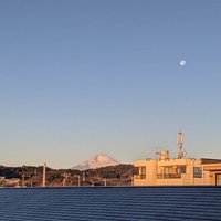 新宝島 は Shake Hip に似てる 日目 原ちろう トライバルメディアハウス Note