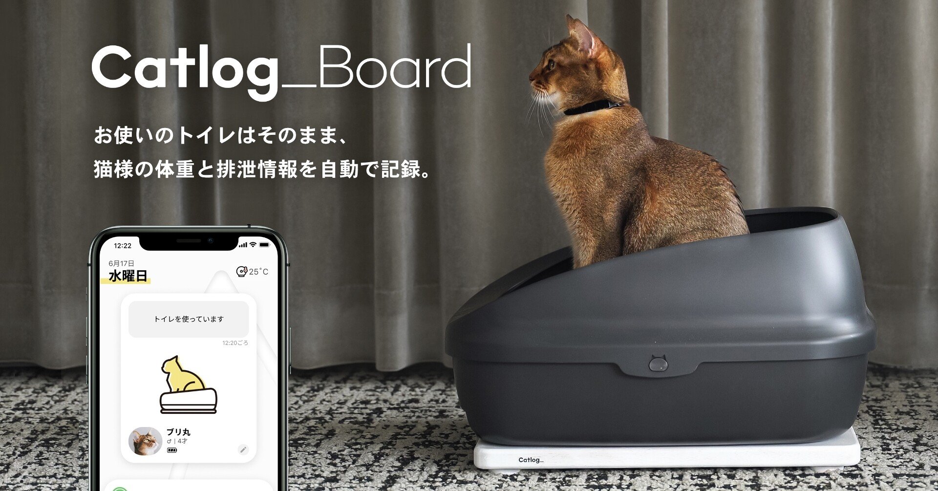 すべては、猫様のために。」 Catlog Boardの最大のこだわり｜RABO, Inc.
