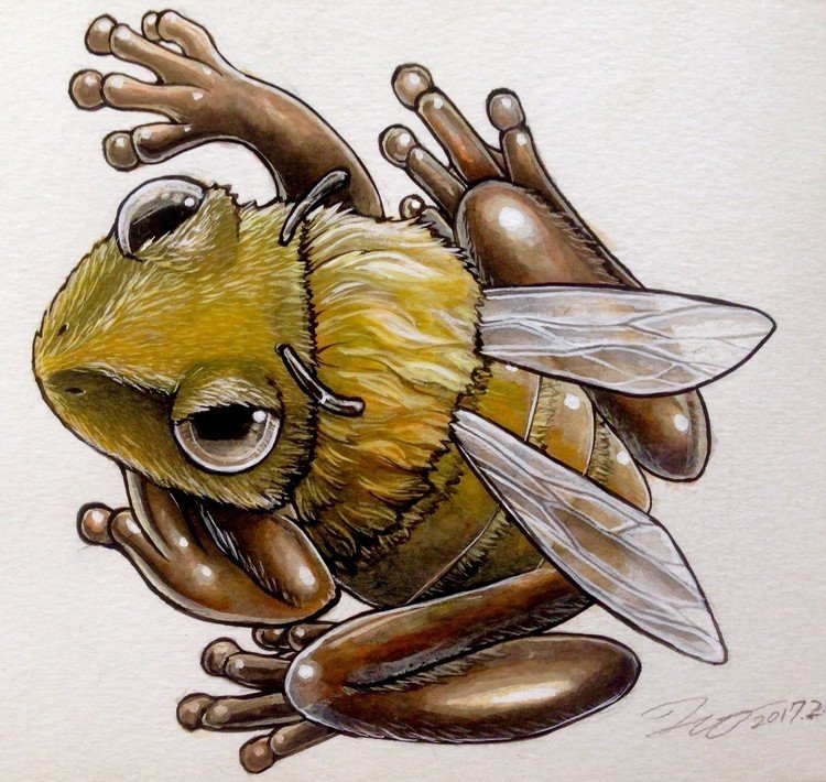 「 #カエルメイト 」より
●ハチガエル

まるで蜂のような #カエル 。飛ぶことはできないが、皮膚や毛が変化してできたと考えられている羽に見える突起物を持つハムシガエルの仲間
