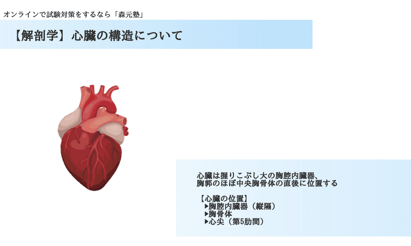 解剖学 図解 イラスト とゴロで簡単 基本的な心臓の構造 の覚え方 森元塾 国家試験対策 Note