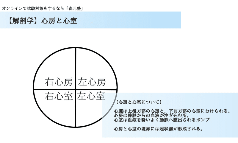 解剖学 図解 イラスト とゴロで簡単 基本的な心臓の構造 の覚え方 森元塾 国家試験対策 Note