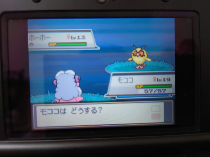 初めての色違い ポケモンss 5 箱崎ゆのまる Note