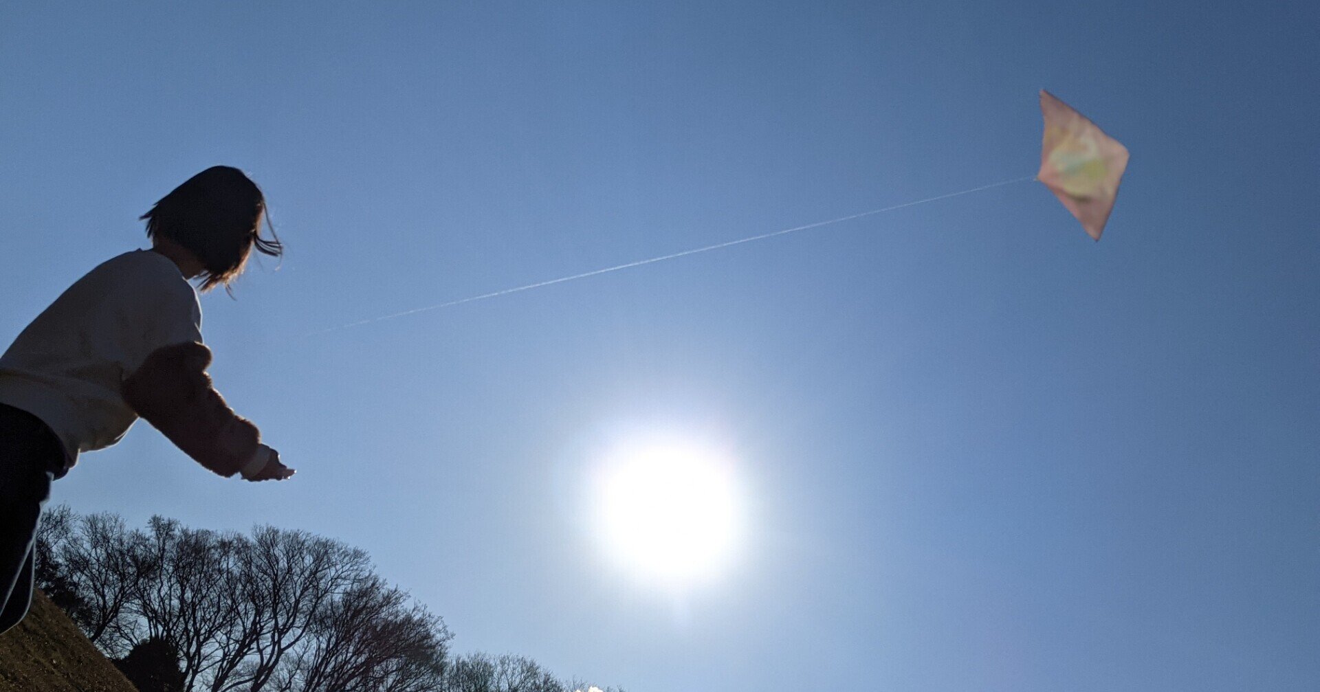 都会では凧揚げをしないのか Dora E M Note 都会では凧揚げをしないのか Dora E M Note