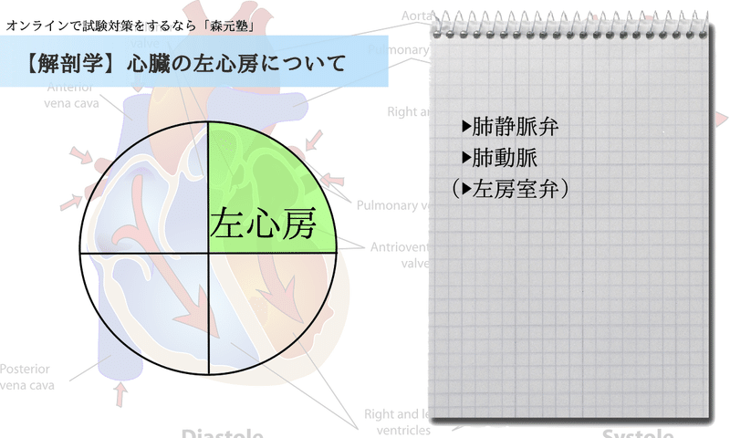 解剖学 図解 イラスト とゴロで簡単 基本的な心臓の構造 の覚え方 森元塾 国家試験対策 Note