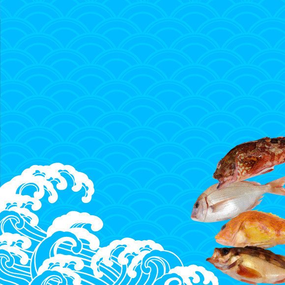 マガジンのカバー画像