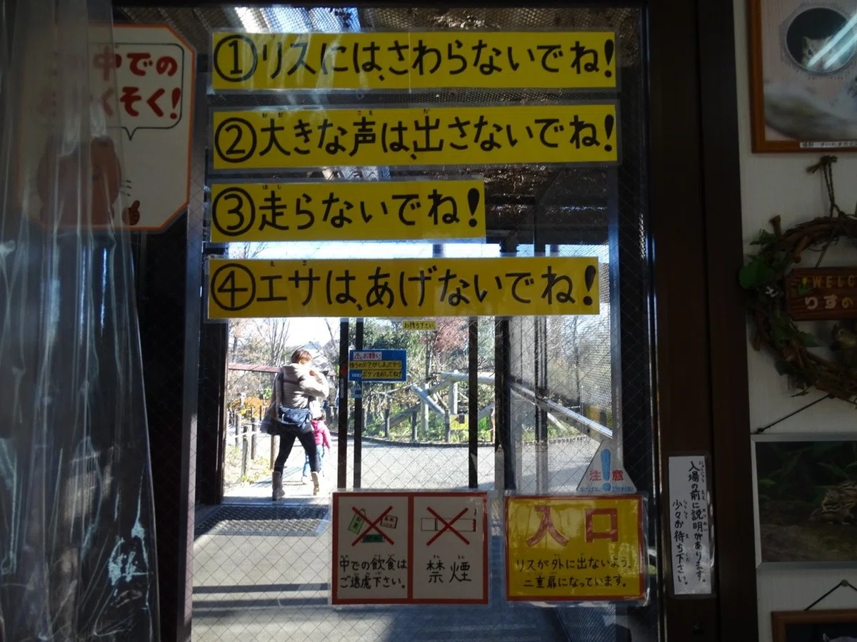 画像11