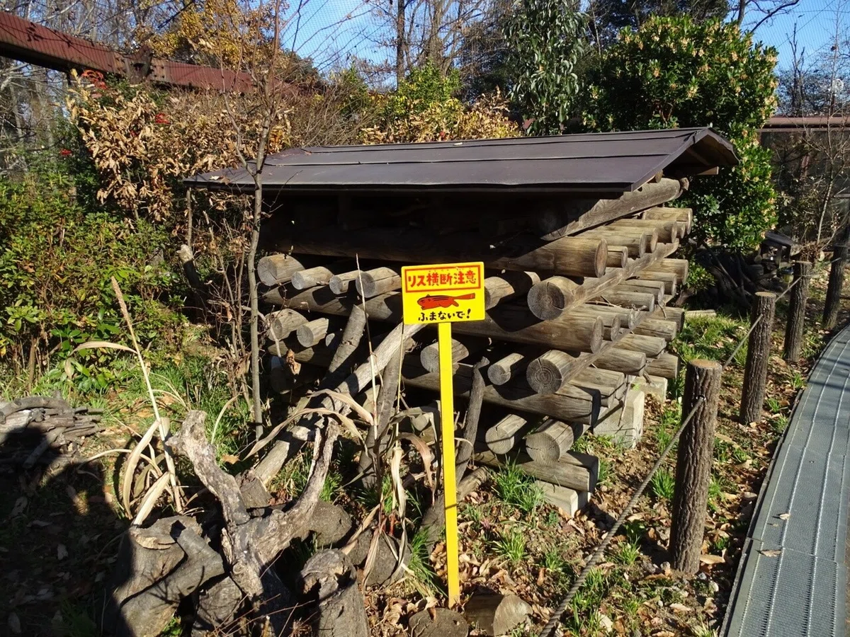 画像10