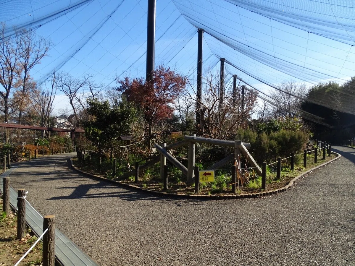 画像12