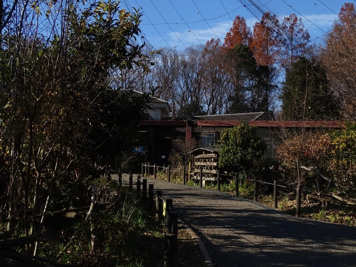 画像13