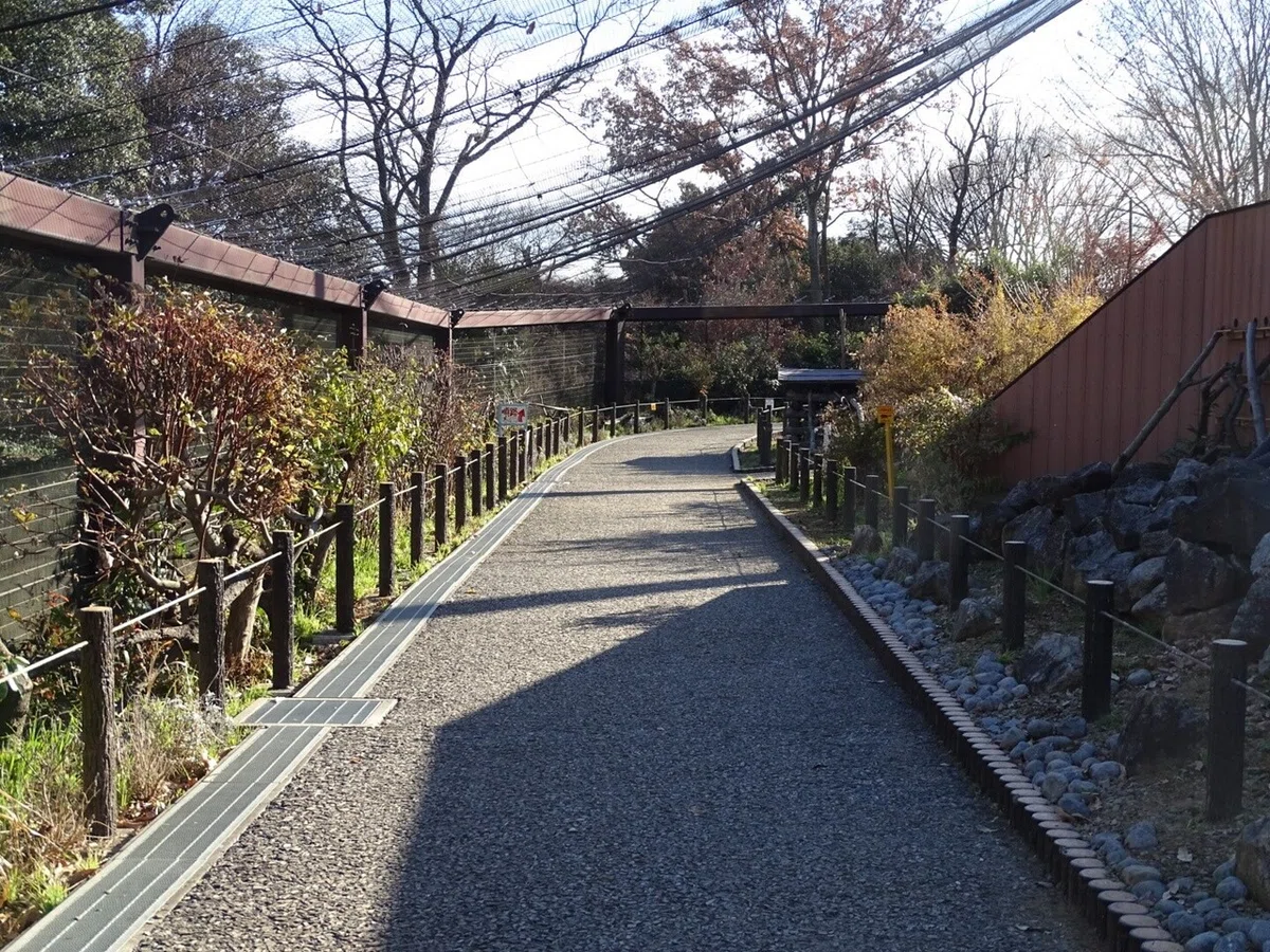 画像17