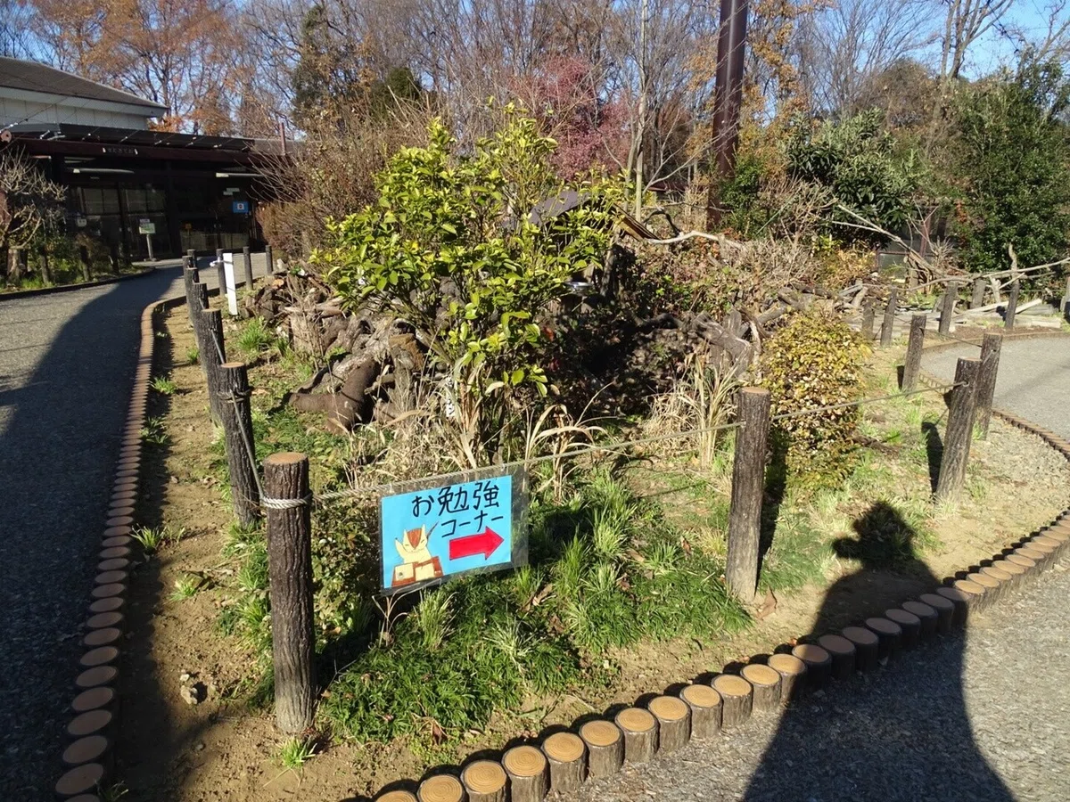 画像24
