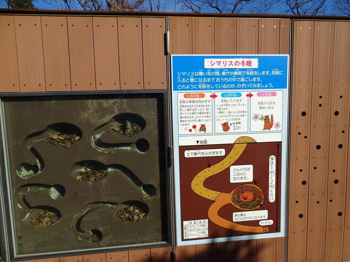 画像27