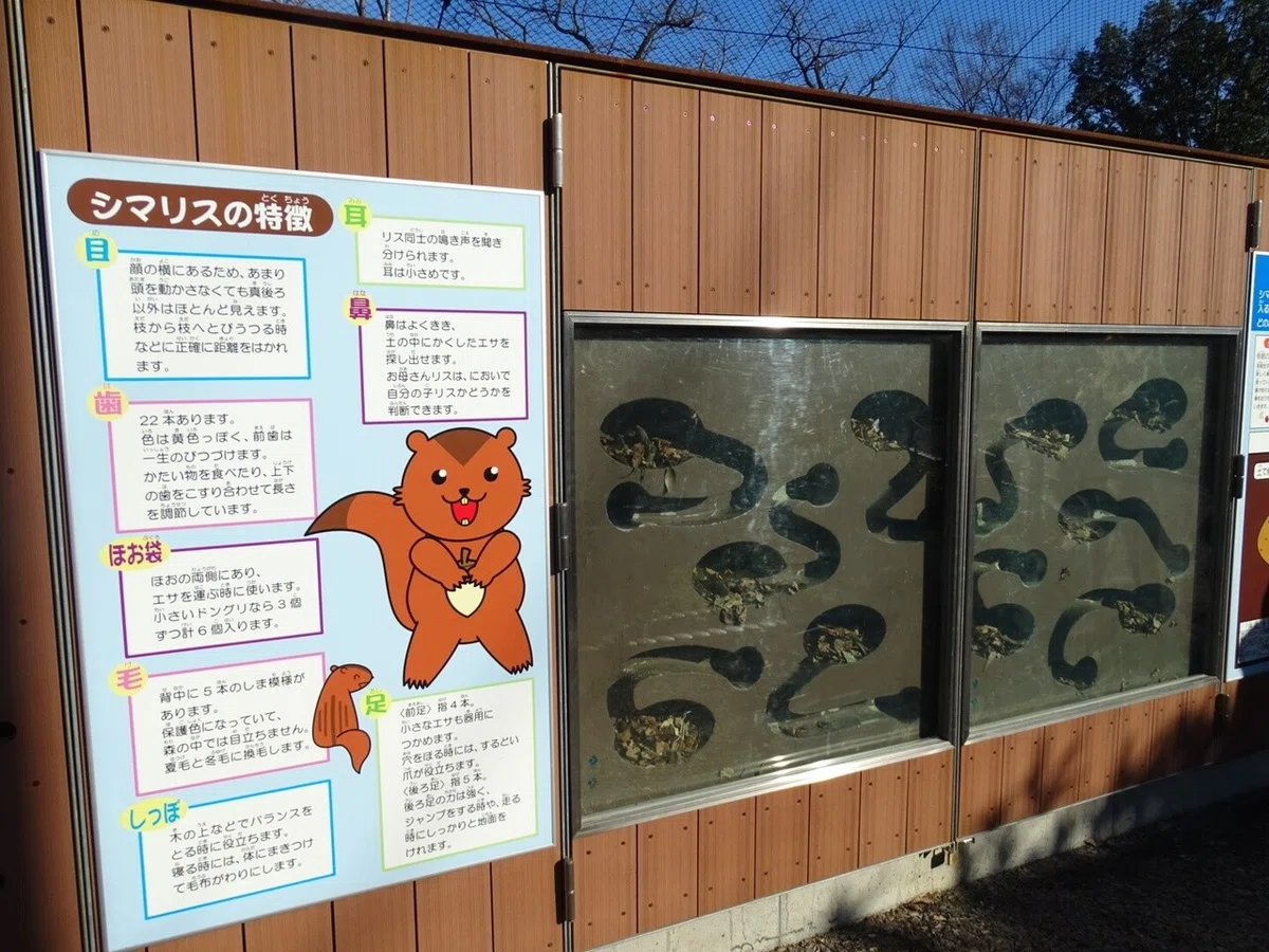 画像26