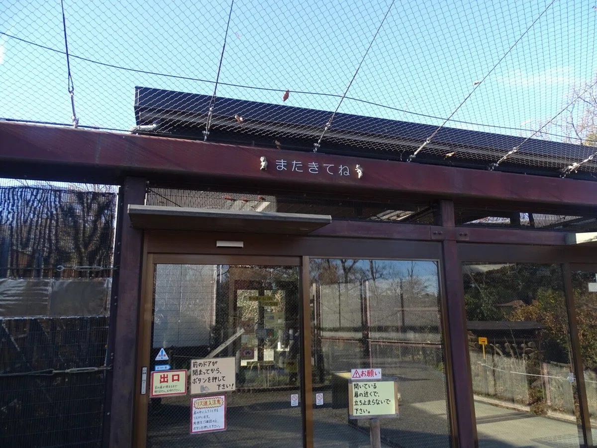 画像28