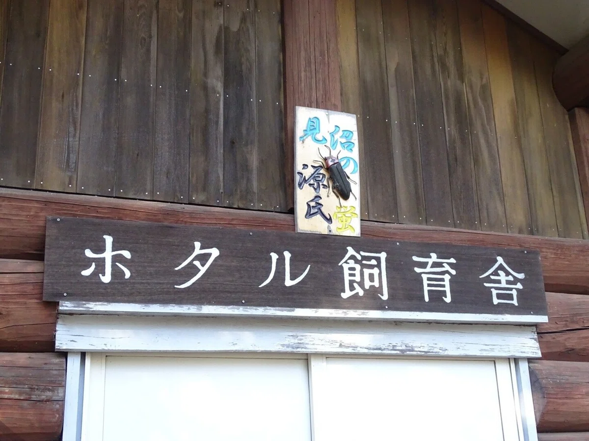 画像30