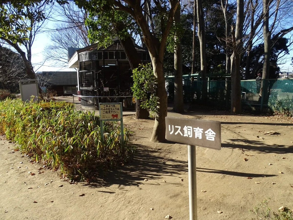 画像32
