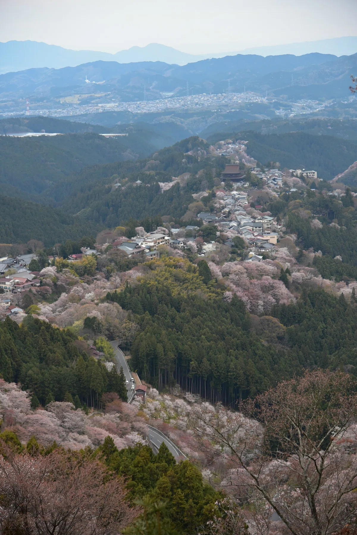 画像62