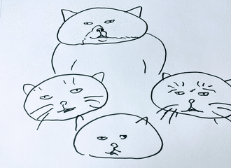 もんたの日常 もんたの基本的な情報から引き取った経緯 病気について書いています もんたの日常 Note