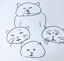もんたの日常 もんたの基本的な情報から引き取った経緯 病気について書いています もんたの日常 Note もんたの日常 もんたの基本的な情報から引き取った経緯 病気について書いています もんたの日常 Note
