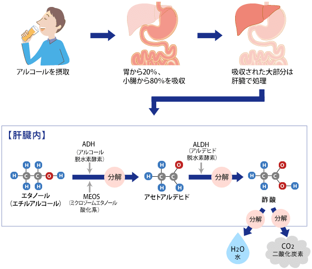 化学式の 見える化 を体感する Pirokichi Note