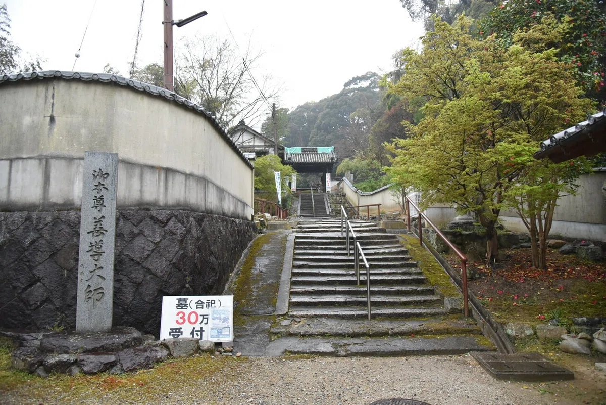 画像13
