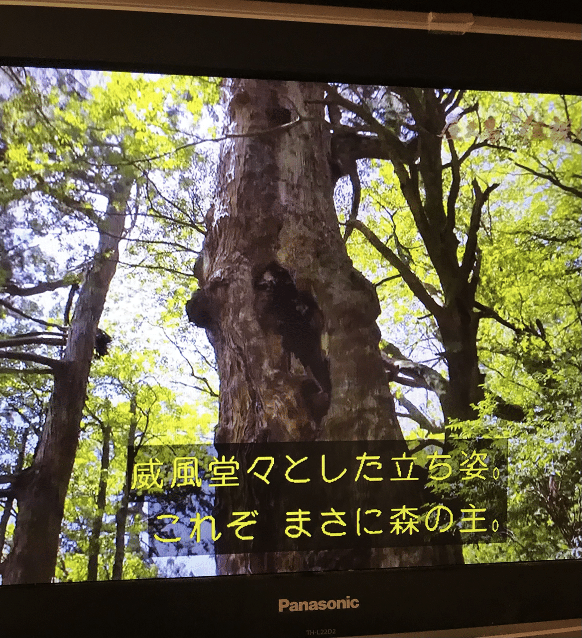 テレビなし生活早10年 今年のプライベートの目標は自宅でnhkとbsを見られるようにすること かな なみまろ Note テレビなし生活早10年 今年のプライベートの目標は自宅でnhkとbsを見られるようにすること かな なみまろ Note