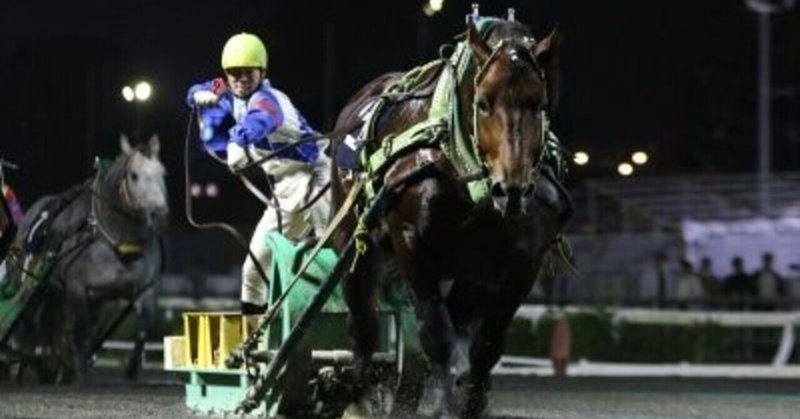 十勝帯広ばんえい競馬 の新着タグ記事一覧 Note つくる つながる とどける 十勝帯広ばんえい競馬 の新着タグ記事一覧 Note つくる つながる とどける