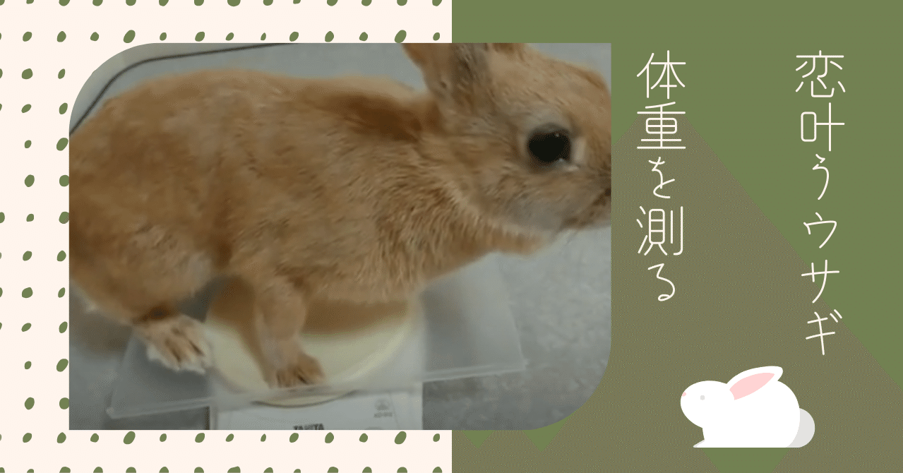 恋叶うウサギ 体重を測る 背文字で スキ と伝えたいウサギのポリアンナ 心に響いた言葉だけ贈りたい 音卯風矢 Note 恋叶うウサギ 体重を測る 背文字で スキ と伝えたいウサギのポリアンナ 心に響いた言葉だけ贈りたい 音卯風矢 Note