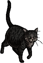 ウォーリアーズ考察第二回 日本語訳には Tabby の定義 必要性がある 色褪 Note ウォーリアーズ考察第二回 日本語訳には Tabby の定義 必要性がある 色褪 Note
