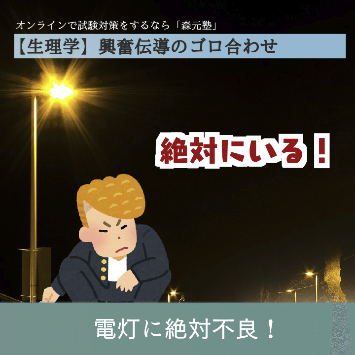 生理学 図解 イラスト とゴロで簡単 神経線維の興奮伝導 の覚え方 森元塾 国家試験対策 Note