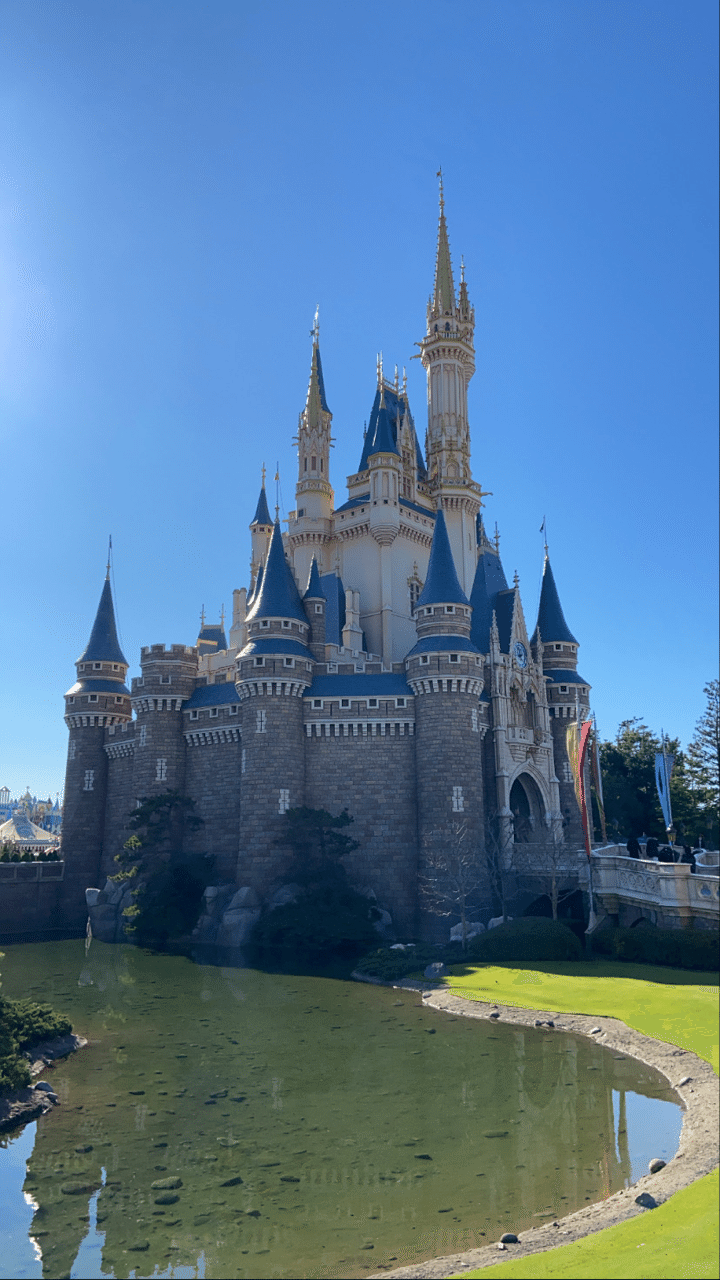 元旦ディズニーデート 𝕒𝕤𝕒𓍯 Note 元旦ディズニーデート 𝕒𝕤𝕒𓍯 Note