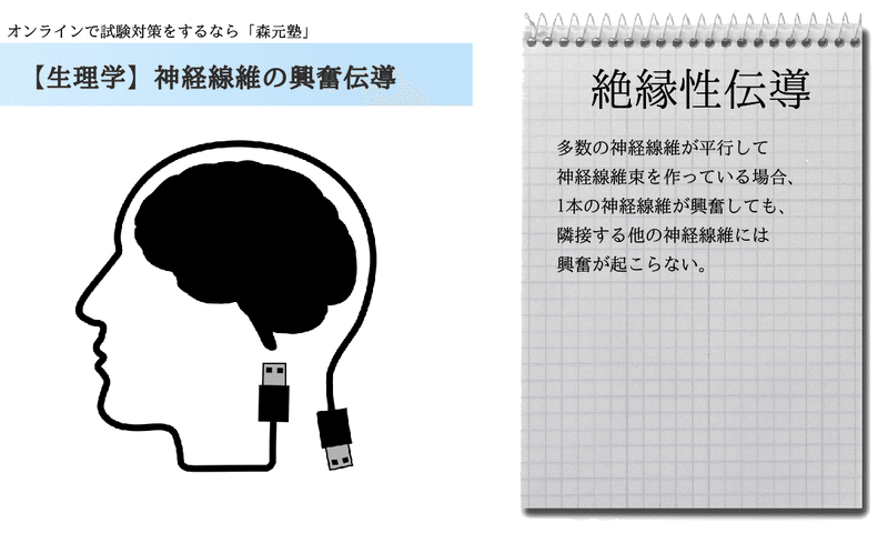 生理学 図解 イラスト とゴロで簡単 神経線維の興奮伝導 の覚え方 森元塾 国家試験対策 Note