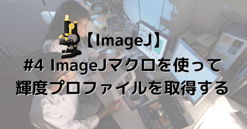 【ImageJ】ImageJマクロを使って輝度プロファイルを取得する