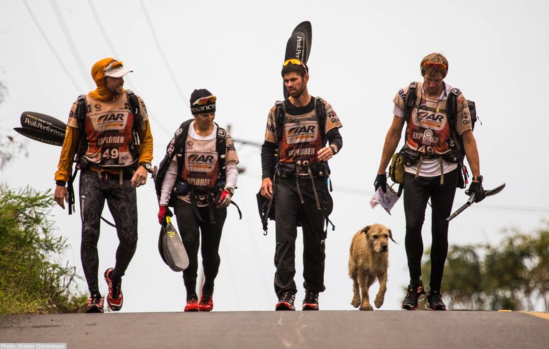 この出会いは運命だ 野良犬がジャングルのレースで飼い主に出会った感動の物語 ジャングルの極限レースを走った犬 アーサー 好評発売中 特集1 Hayakawa Books Magazines B この出会いは運命だ 野良犬がジャングルのレースで飼い主に出会った感動の物語 ジャングルの極限レースを走った犬 アーサー 好評発売中 特集1 Hayakawa Books Magazines B