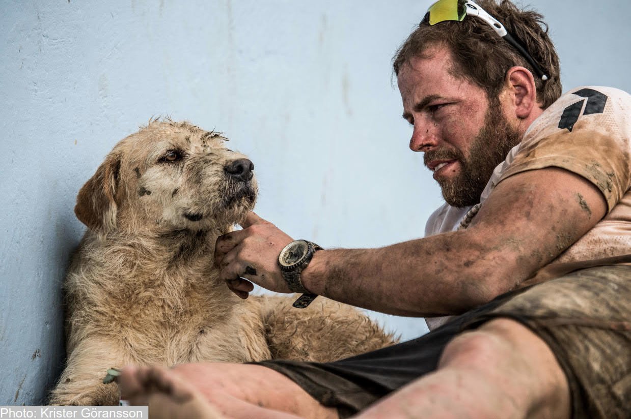 この出会いは運命だ。野良犬がジャングルのレースで飼い主に出会った