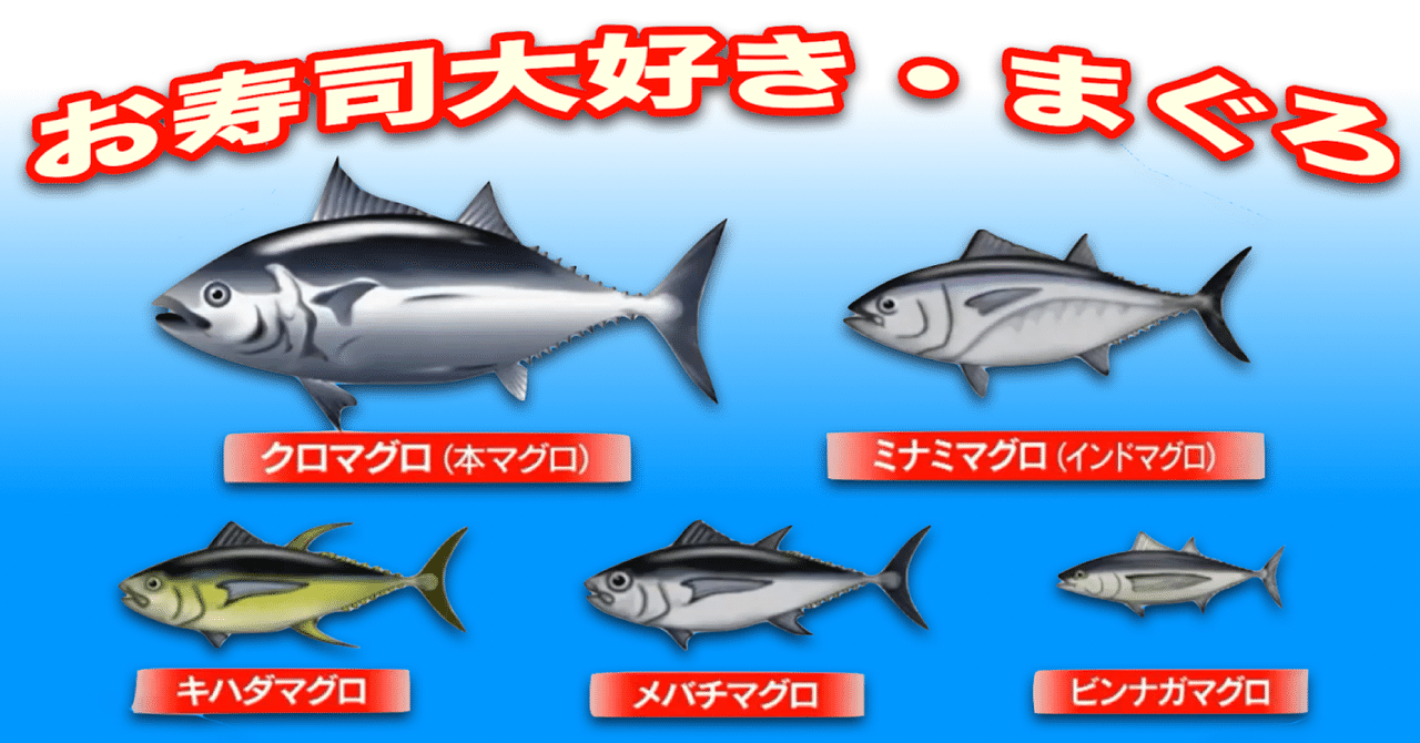 お寿司大好き まぐろ 39hujicha3 Note お寿司大好き まぐろ 39hujicha3 Note